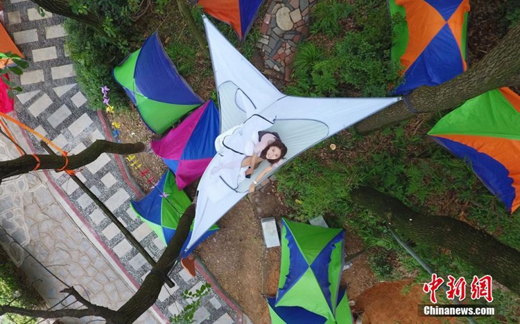 ‘나무 위의 텐트’ 창사에 첫 등장, 고공에서 즐기는 짜릿한 경험