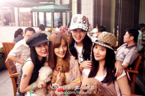 ‘하하랜드’ 노홍철 애완동물 ‘당나귀’ 공개! 중한 스타의 단짝 친구들 총정리