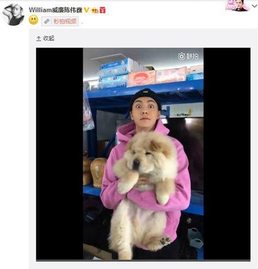 ‘하하랜드’ 노홍철 애완동물 ‘당나귀’ 공개! 중한 스타의 단짝 친구들 총정리