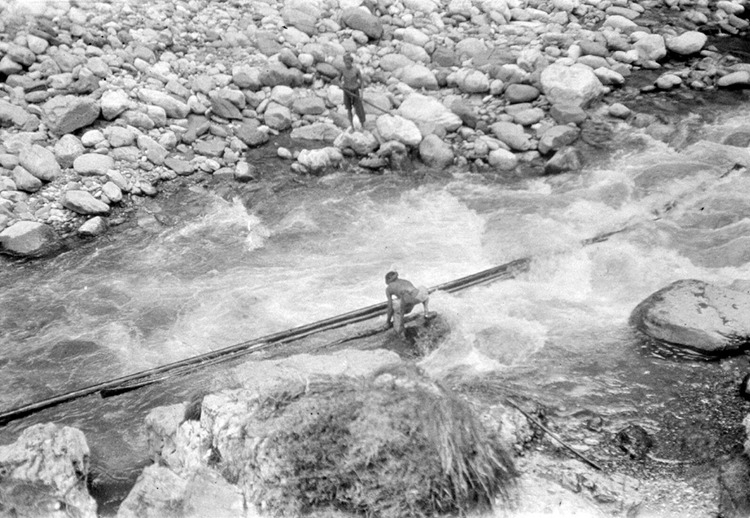 100년 전 사진으로 보는 청두의 옛날 직업, ‘통나무 띄우기’