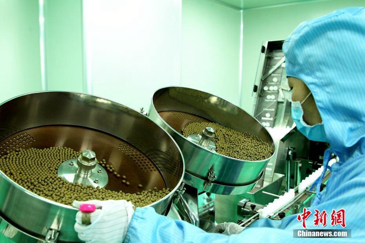 중국에서 가장 큰 장약(藏藥) 약제실, 12가지 종류 연간 200톤 생산