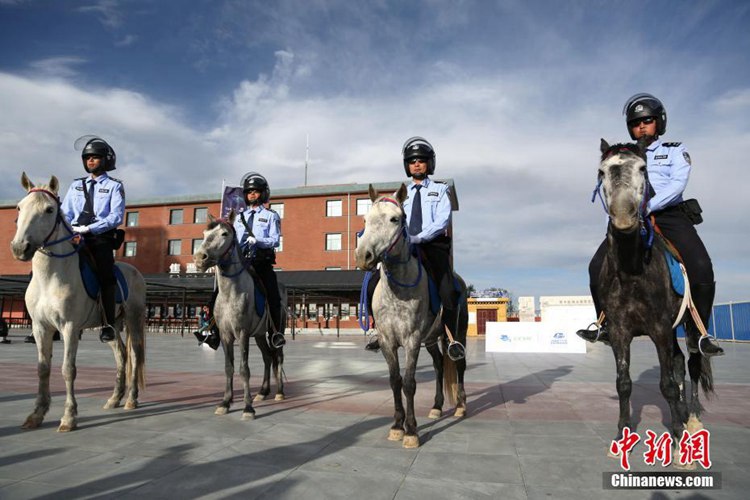 여행 성수기 도래! 멋진 ‘기마경찰’ 중국 칭하이에 등장