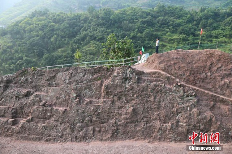 중국 충칭서 쥐라기 시대 공룡 화석군 발견, 150m가 넘는 ‘벽’ 눈길