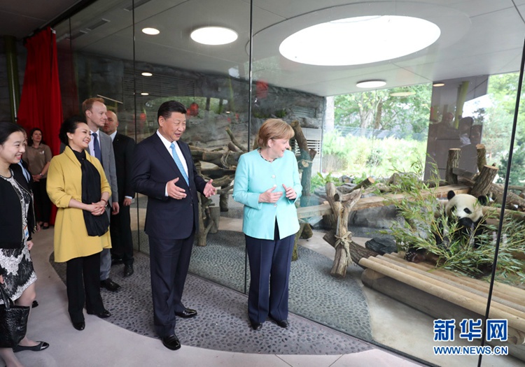시진핑-메르켈, 함께 독일 베를린 동물원 판다관 개관식 참석