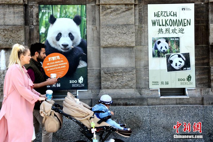 독일 베를린 동물원에 등장한 초호화 저택 ‘판다관’, 조식 뷔페도 제공