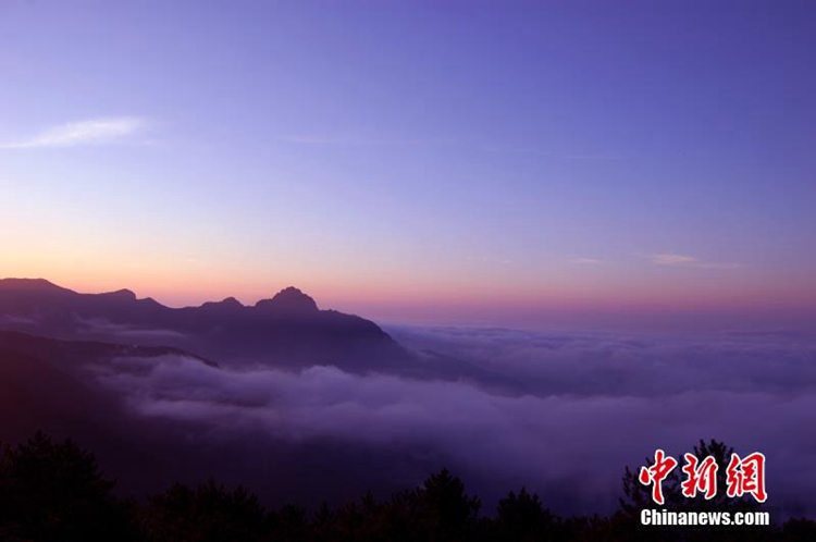 장시 옌산 우이산 ‘세계 문화 및 자연유산’에 등재, 희귀한 동식물의 천국