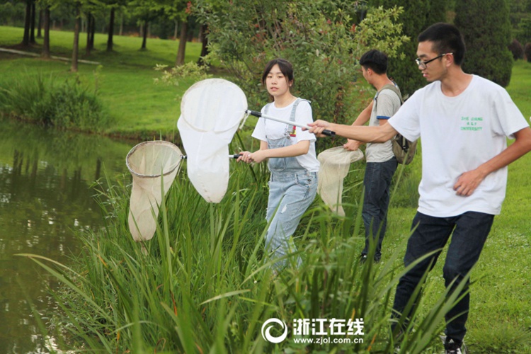 중국 대학교의 이색적인 여름방학 숙제, ‘곤충 생포 대작전’