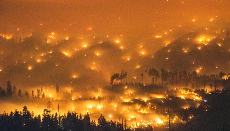 美 서부 산불 확산…2천 명 대피, 전력 공급 차단될 수도 