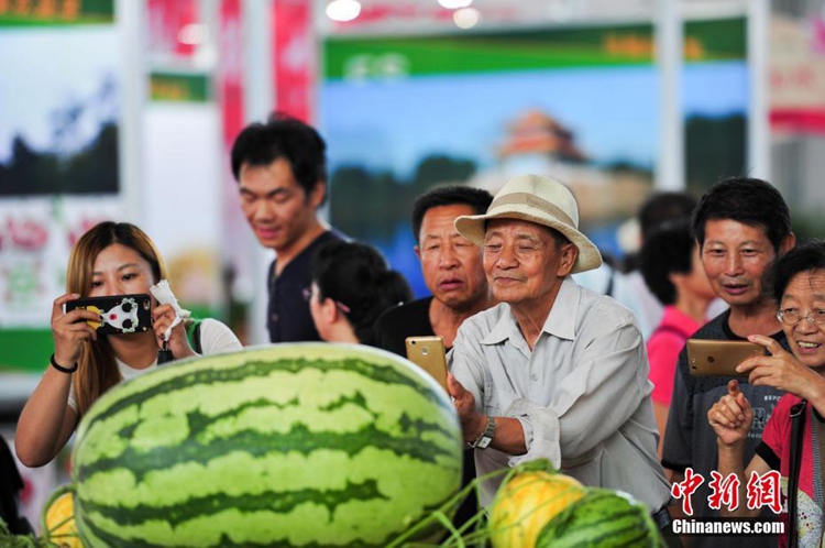 중국 제10회 랴오닝 국제 농업박람회 개막, 63.5kg짜리 수박 등장