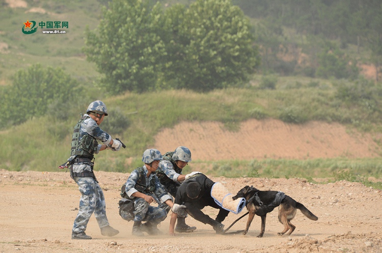 중국 공수부대원들의 ‘대테러 훈련’ 현장, 군견과 함께 하는 레펠 하강 
