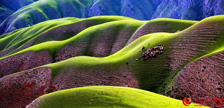 신장 쿼커쑤 대협곡, 산비탈의 매끄러운 라인 ‘인상적’ 