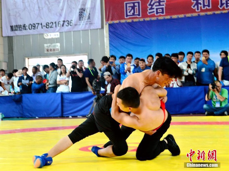 중국 칭하이 소수민족 전통 운동회 개막, 고원지대에서 펼쳐진 전통 스포츠