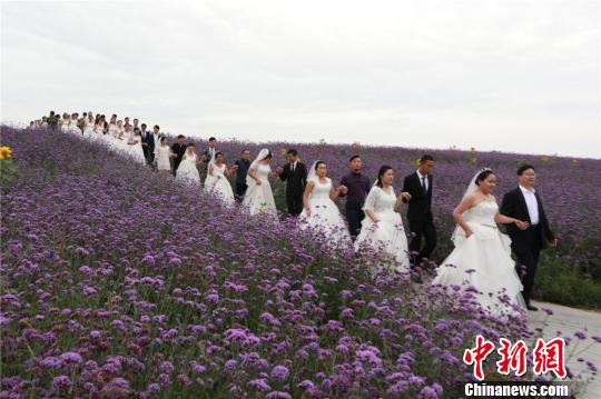 간쑤서 로맨틱한 꽃밭 배경으로 50여 쌍의 합동 결혼식 열려  