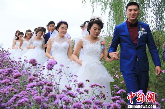 간쑤서 로맨틱한 꽃밭 배경으로 50여 쌍의 합동 결혼식 열려  
