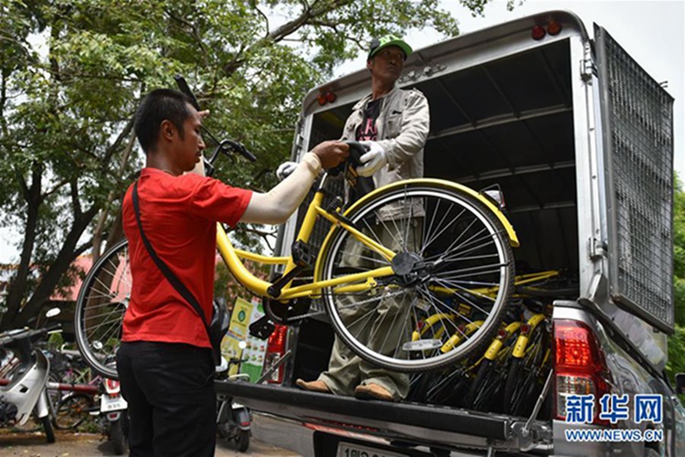 泰에 진출 성공한 중국 공용자전거 ‘ofo’, 태국 대학 캠퍼스 점령