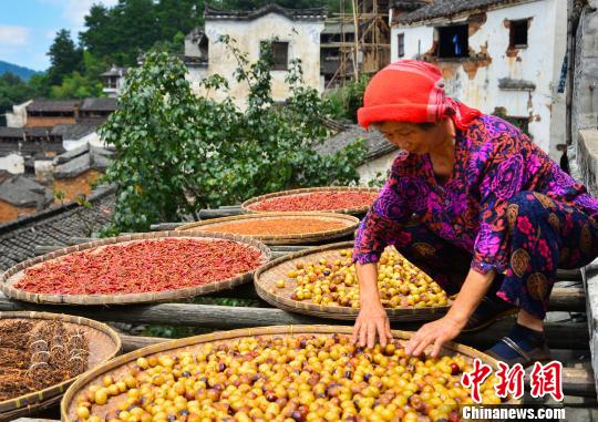 ‘중국에서 가장 아름다운 마을’ 장시 우위안에 찾아온 가을…수확의 계절