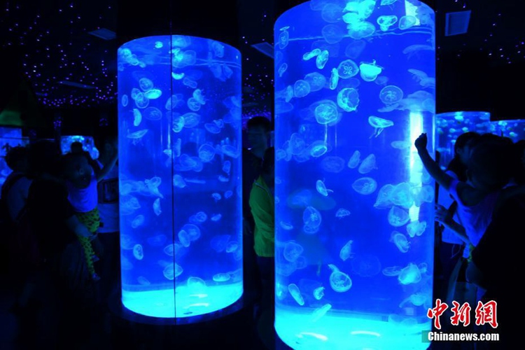 창춘 대형 해파리 전시관, 다채로운 빛으로 환상적 바다세계 연출