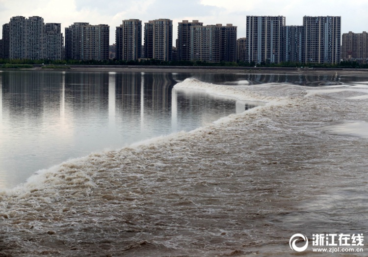 음력 7월 초에만 볼 수 있는 항저우 첸탕강의 ‘파도’