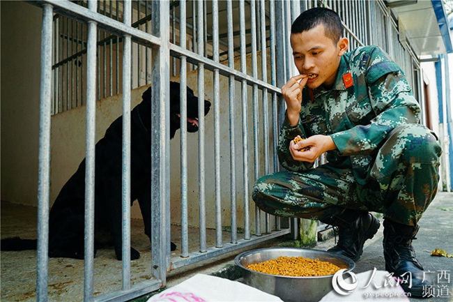 중국-베트남 국경 지역 마약탐지견의 일상생활