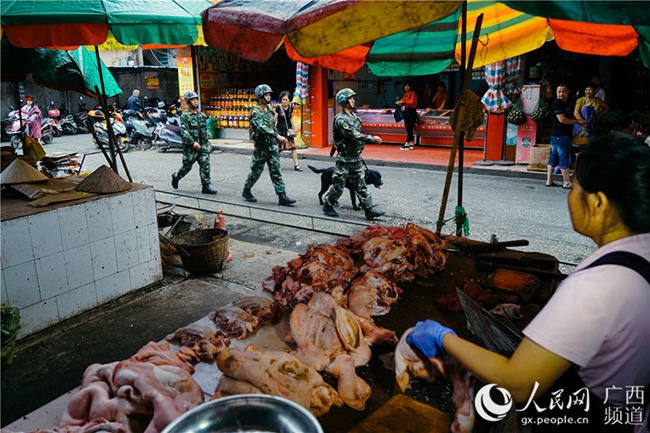 중국-베트남 국경 지역 마약탐지견의 일상생활