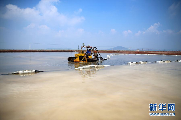 ‘중국 해염의 고향’ 다롄에 찾아온 가을, 소금 수확에 한창