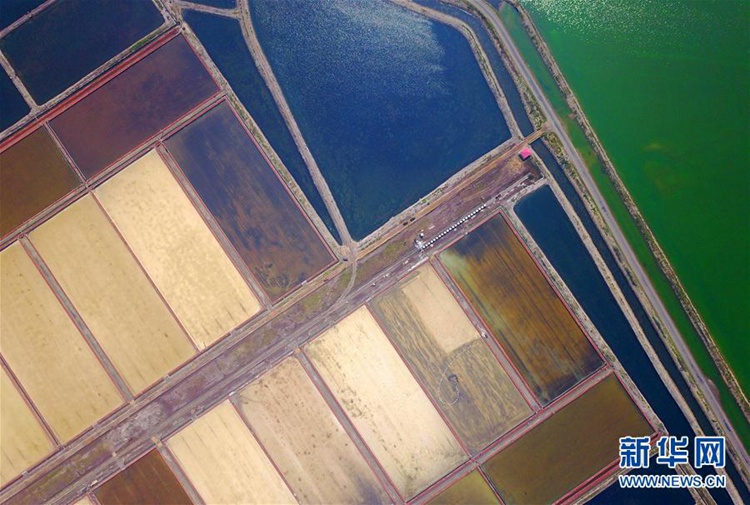 ‘중국 해염의 고향’ 다롄에 찾아온 가을, 소금 수확에 한창