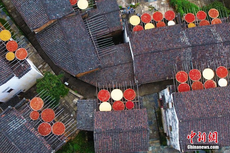 ‘중국에서 가장 아름다운 마을’ 우위안 황링촌의 가을 풍경…농작물 말리기