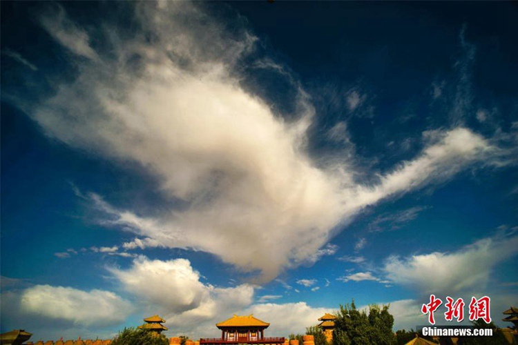 중국 간쑤 둔황 사막, 구양관 유적지에 펼쳐진 ‘오색빛깔’ 가을 풍경