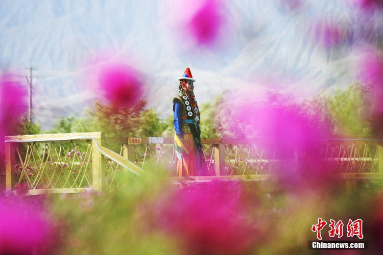 간쑤 고비사막을 배경으로 펼쳐진 몽고족 전통 패션쇼