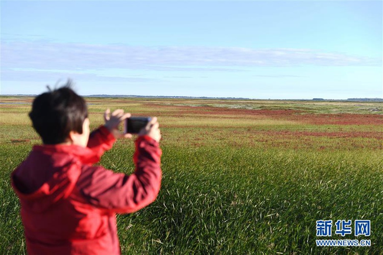 중국 지린 모모거 습지에 찾아온 온화한 가을, 철새의 고향