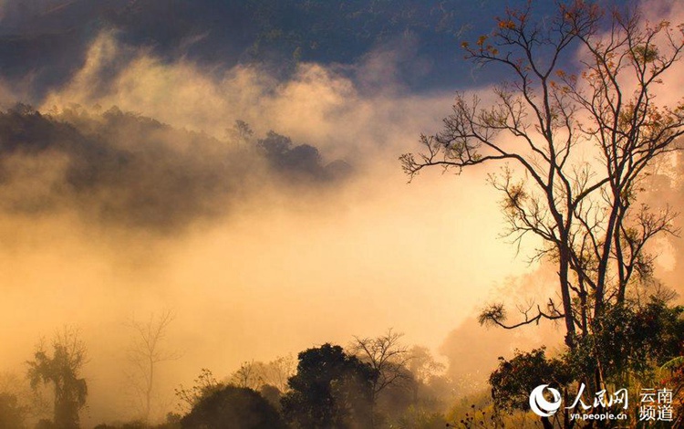 중국 최초로 ‘세계평화공원’으로 지정된 푸얼 ‘타이양허국가공원’