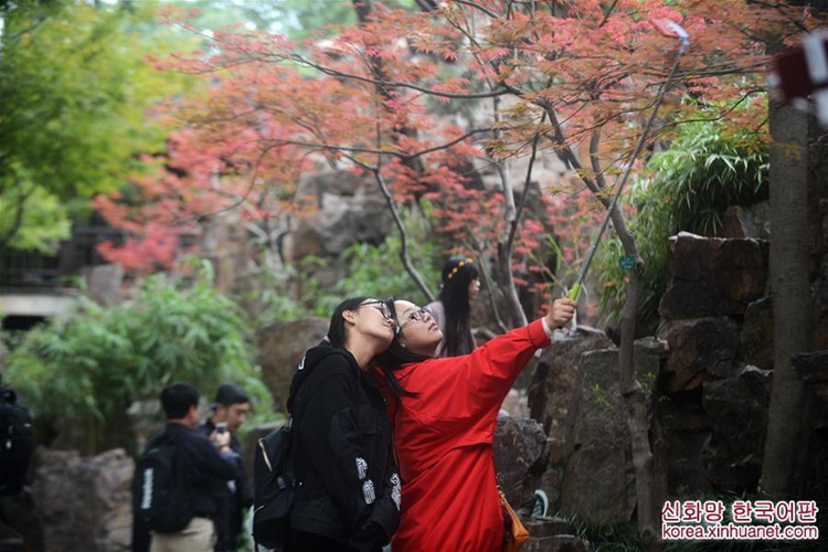 관광객을 매료시키는 양저우의 단풍