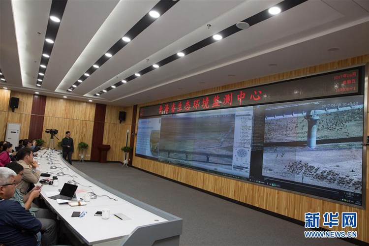 녹색, 대지에 심은 아름다운 내일…‘시진핑 총서기 시찰 지역 재탐방’