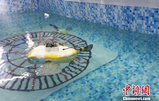 간쑤 대학교 선생과 학생, 바이오닉 로봇 물고기 연구개발