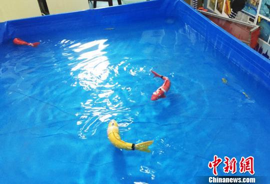 간쑤 대학교 선생과 학생, 바이오닉 로봇 물고기 연구개발