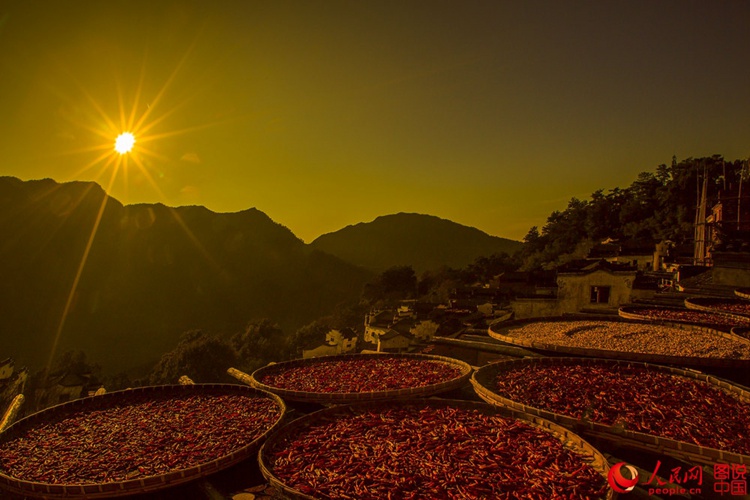 장시 우위안 황링 마을의 이색적인 ‘농작물 말리기 풍경’