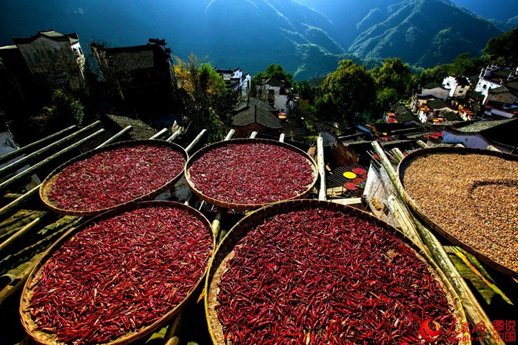 장시 우위안 황링 마을의 이색적인 ‘농작물 말리기 풍경’