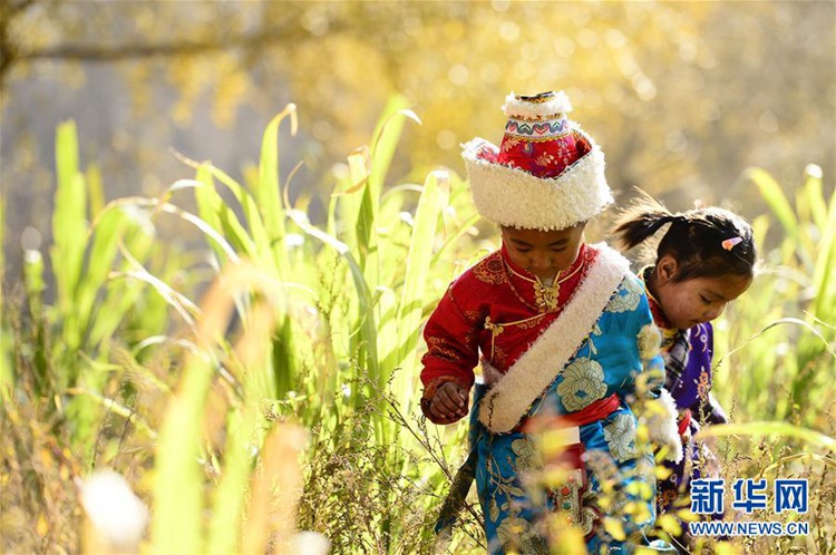 쑹바 장족(藏族)마을에 깊이 찾아온 가을