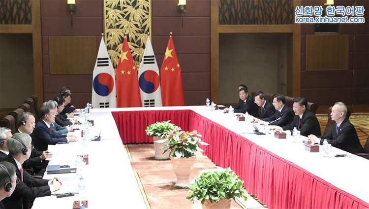 시진핑 주석, 문재인 한국 대통령 회견