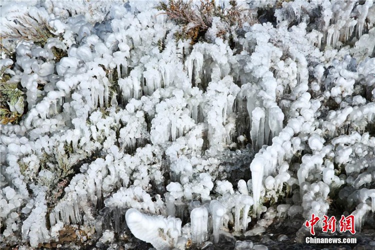 간쑤 장예: 겨울철 ‘얼음 옷’ 입은 나무들, 관광객 몰이 시작