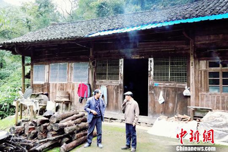 후베이 ‘옻나무 진액’의 비밀…옻나무에 칼집 내는 사람들