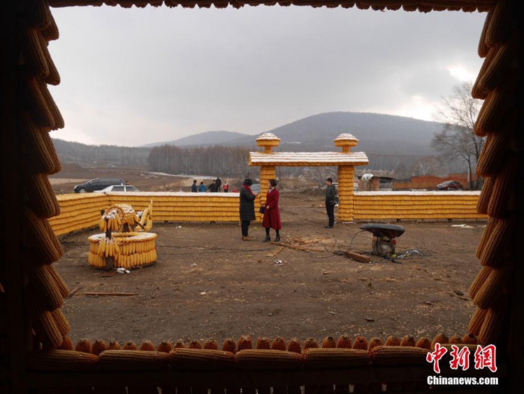 옥수수 2만 개로 만든 ‘옥수수 정원’…중국 지린에 등장