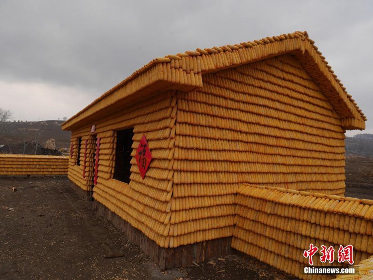 옥수수 2만 개로 만든 ‘옥수수 정원’…중국 지린에 등장