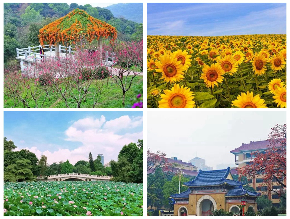 ‘포춘 글로벌 포럼’ 개최 앞둔 ‘꽃의 도시’ 광저우