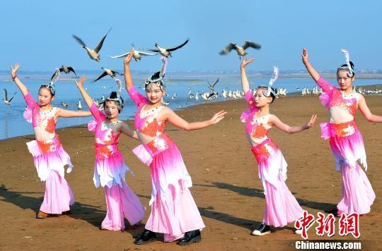 장시(江西, 강서)성 포양(鄱陽)현 어촌 출신의 소녀들이 철새들과 함께 춤을 추고 있다.