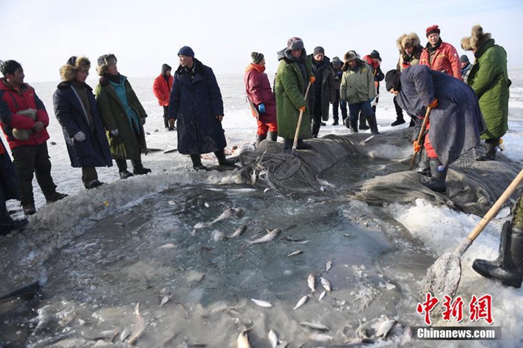 중국 제7대 담수호-지린 차간호의 겨울철 어획 풍습