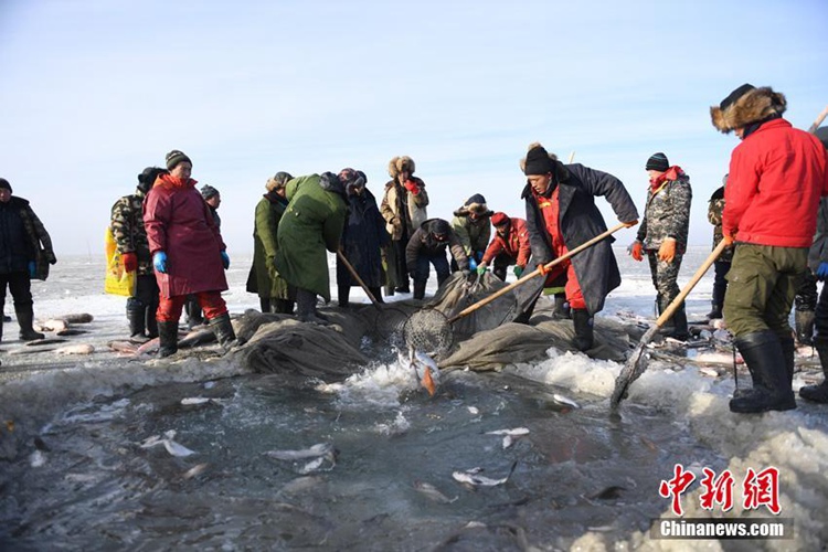 중국 제7대 담수호-지린 차간호의 겨울철 어획 풍습