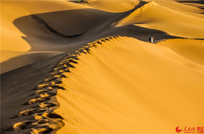 낙타 타고 떠나는 ‘사막 여행’, 신장 투무타거사막의 ‘멋’