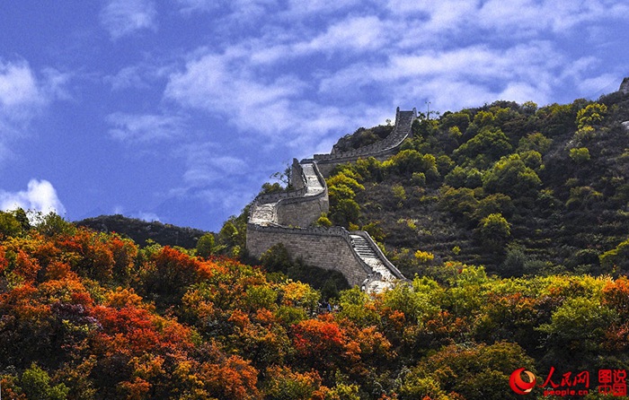 붉게 물든 산과 숲, 중국에서 단풍으로 유명한 곳
