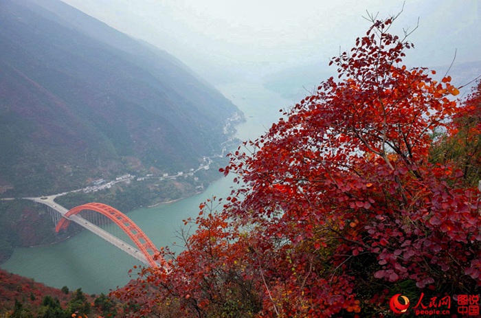 붉게 물든 산과 숲, 중국에서 단풍으로 유명한 곳